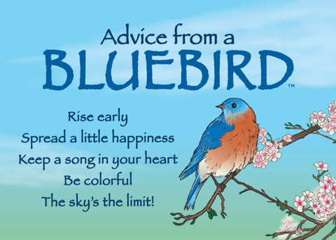 Advice from a Bluebird Jumbo Magnet