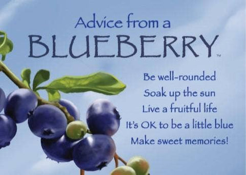 Advice from a Blueberry Jumbo Magnet